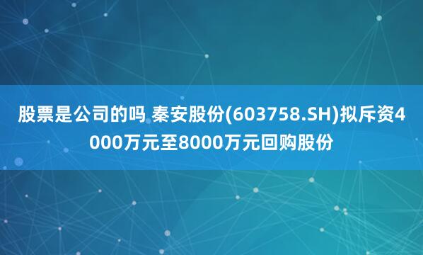 股票是公司的吗 秦安股份(603758.SH)拟斥资4000万元至8000万元回购股份