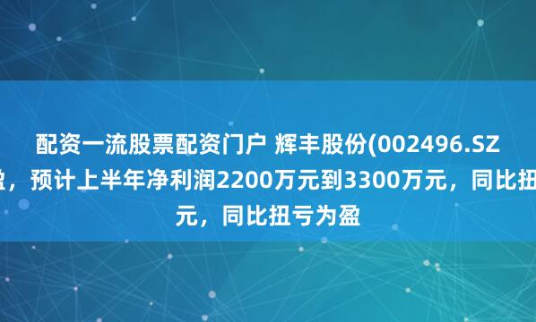 配资一流股票配资门户 辉丰股份(002496.SZ)发预盈，预计上半年净利润2200万元到3300万元，同比扭亏为盈